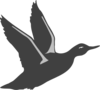 Black Duck Silhouette Taking Off Clip Art